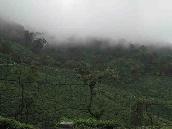 विनायक मंदिर 