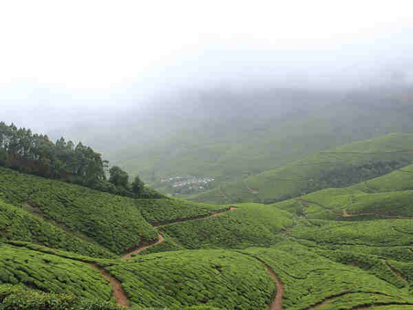 कोलुकुमलाई 