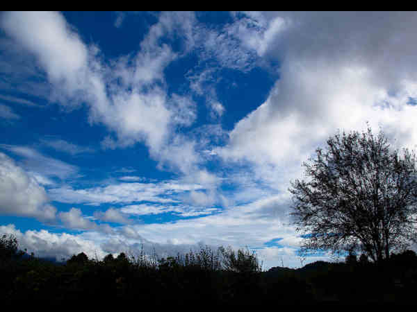 कैसे पहुंचे?