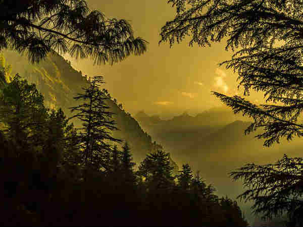 मनमोहक कसोल 