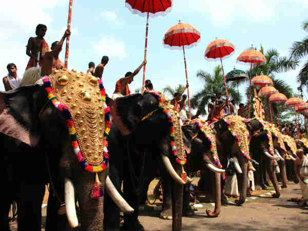 त्योहारों की धूम 