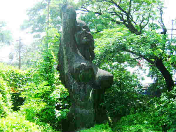 जंगल के बीच 