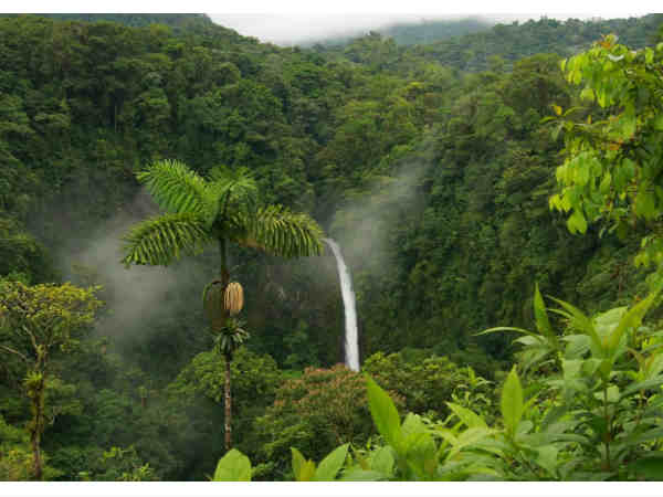 केरला की सुन्दर वादी