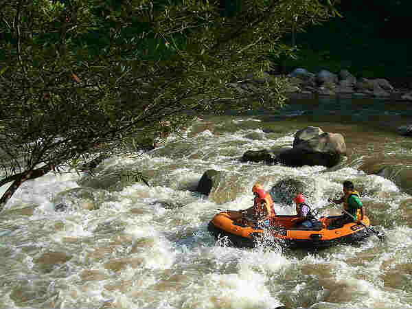 राफ्टिंग
