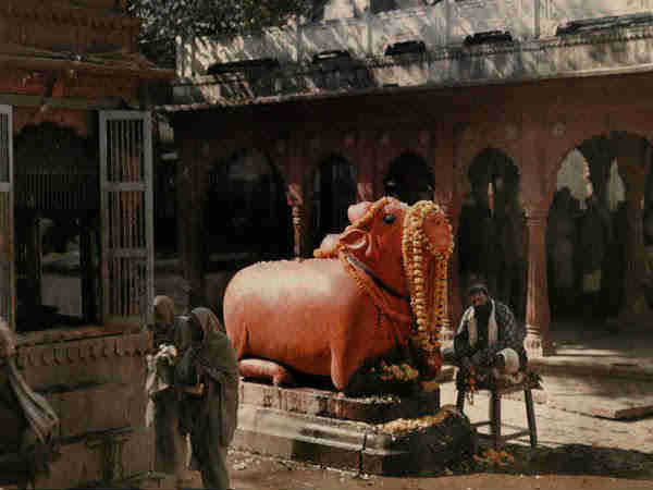 बाबा विश्वनाथ मंदिर