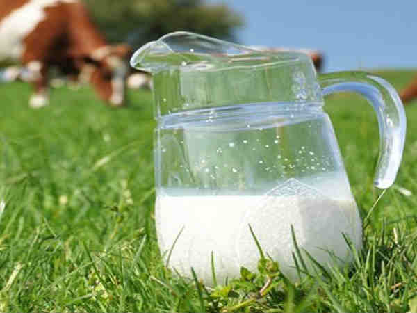 इस गांव में दूध दही मिलता है फ्री