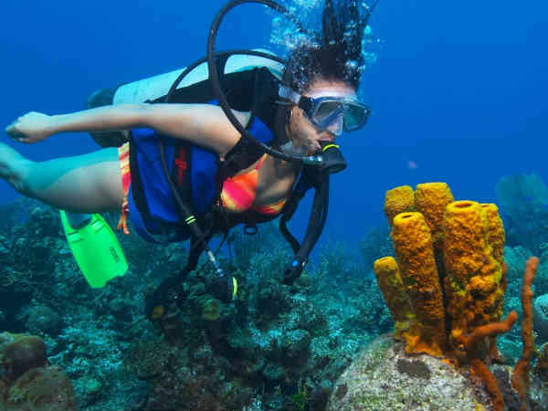 स्कूबा डाइविंग 