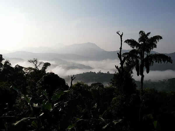 कैसे पहुंचे 