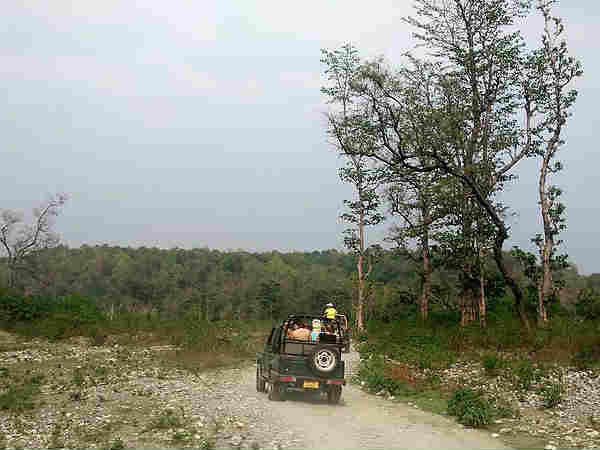 जिम कॉर्बेट नेशनल पार्क 