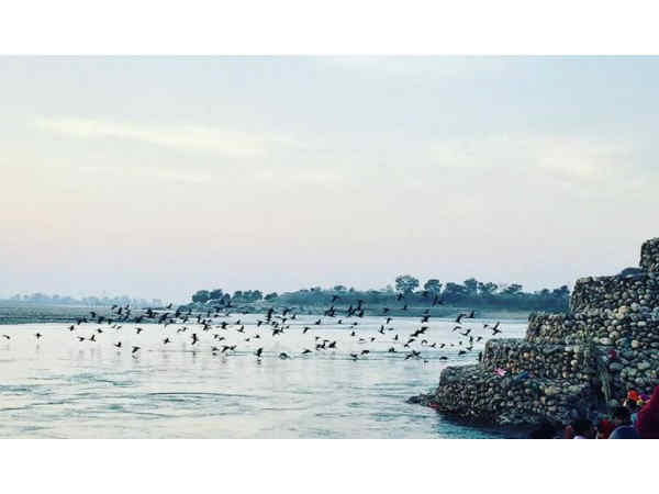 नीलधारा पक्षी विहार व चीला 