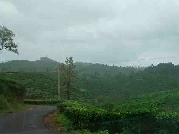 जंगलो के बीच बाइक राइड-वायनाड 