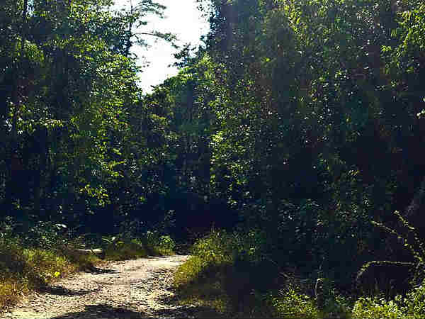 पौराणिक कथा 