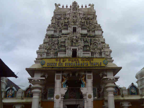 सर्प दोष की होती है पूजा 