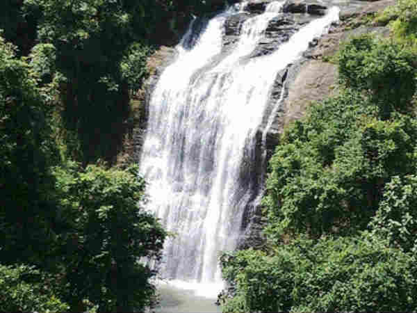 अशोक झरना, विहगांव 