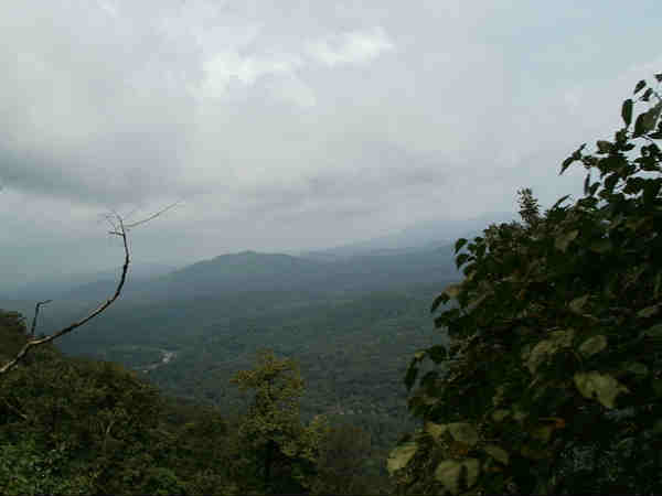 ग्रीन रूट ट्रेक