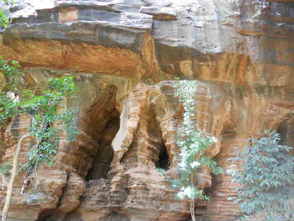 श्रीसैलम 