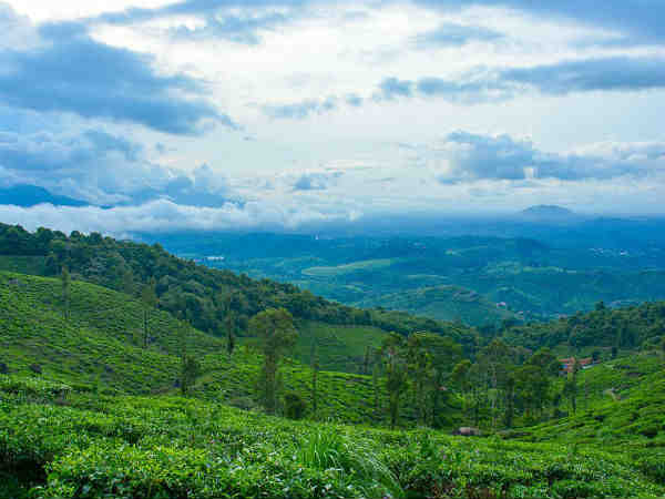 चेंब्रा