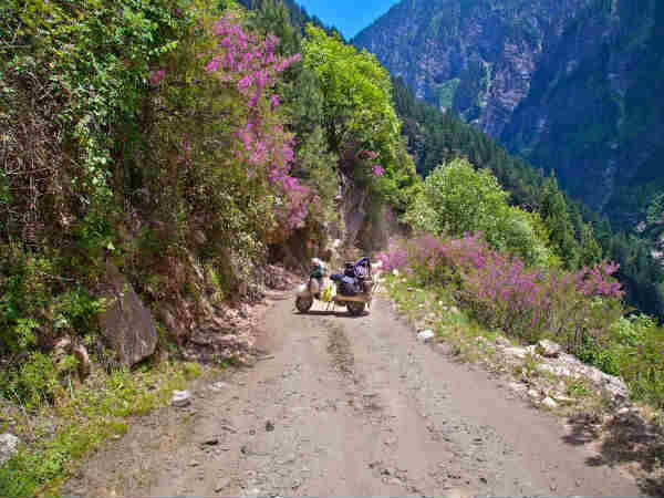 किश्त्वाडा घाटी 