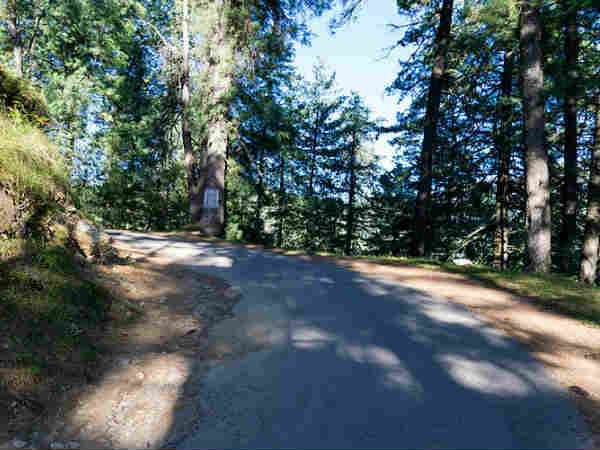 थानेदार