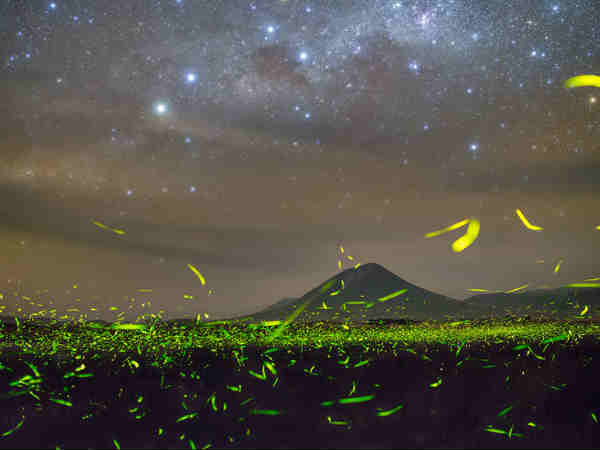 राजमाची