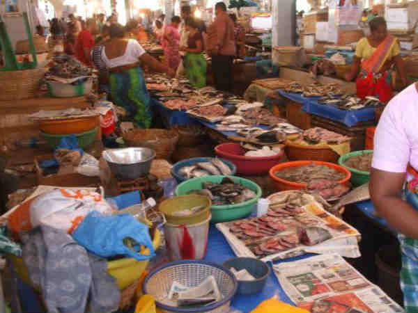 मार्गो मार्केट