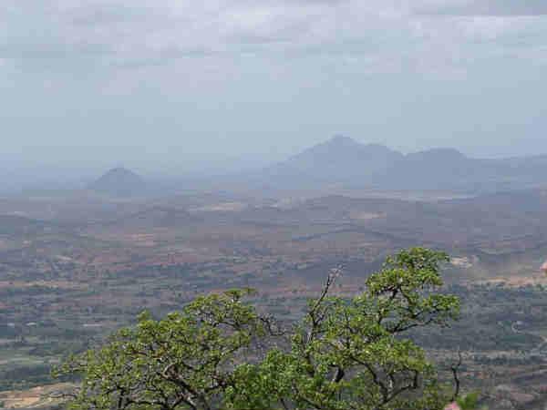 क्या देखे?