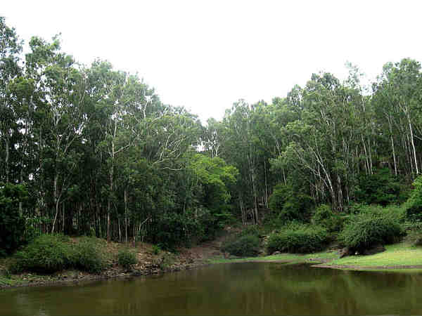 होर्स्ली हिल्स 