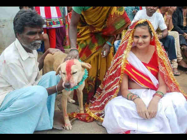 बच्चियों की कुत्तों से शादी