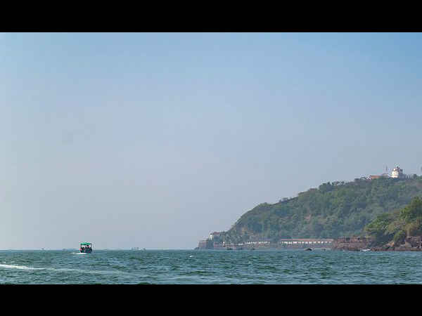 डॉल्फिन देखें