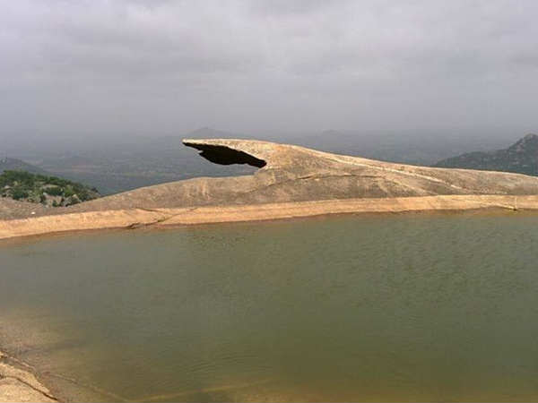 अवलाबेत्ता