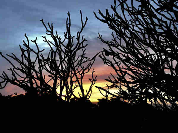 अवलाबेत्ता पहाड़ी 