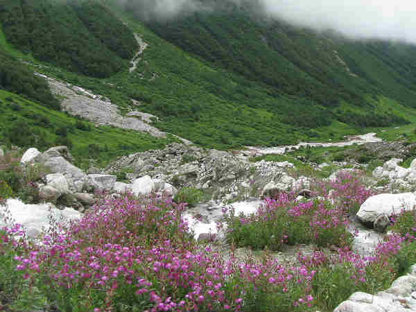 ट्रैकिंग,उत्तराखंड 