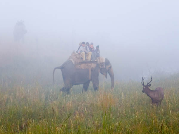 हाथी की सवारी,जीप सफारी, जिम कॉर्बेट नेशनल पार्क 