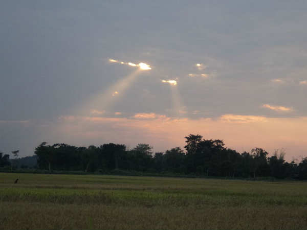 सड़क मार्ग से