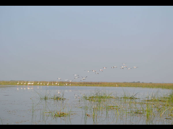 नल सरोवर 