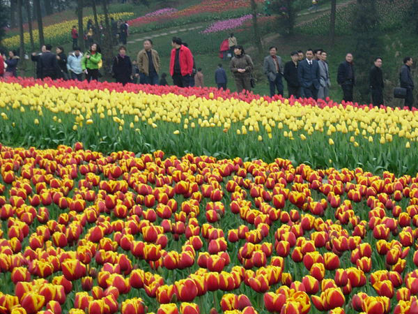 एलिफेंटा झील 