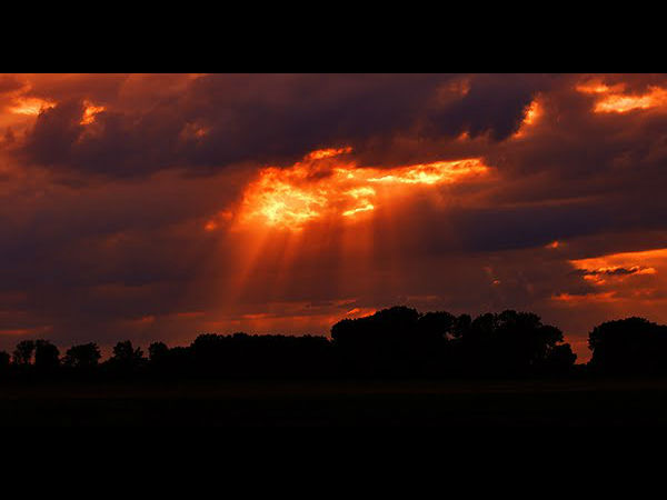 कैसे पहुंचे पीलीभीत 