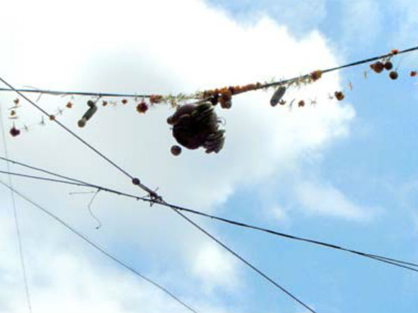 क्या है दही हांडी?