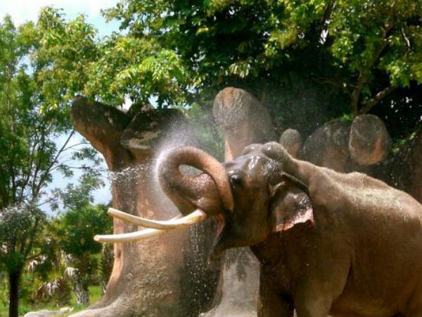 चंद्र प्रभा वन्‍यजीव अभयारण्‍य