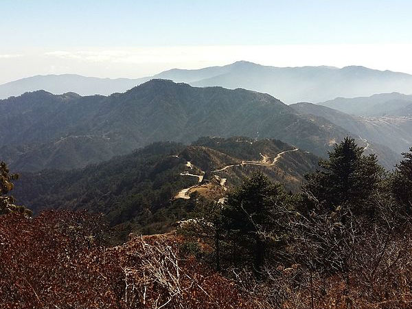 सिंगलिला वन