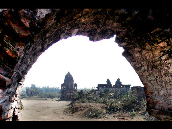 रकाब जंगल 