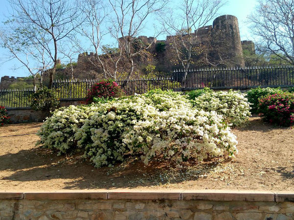 मोती डूंगरी,जयपुर 