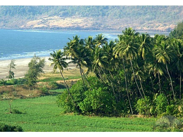 डपोली घूमने का सही समय