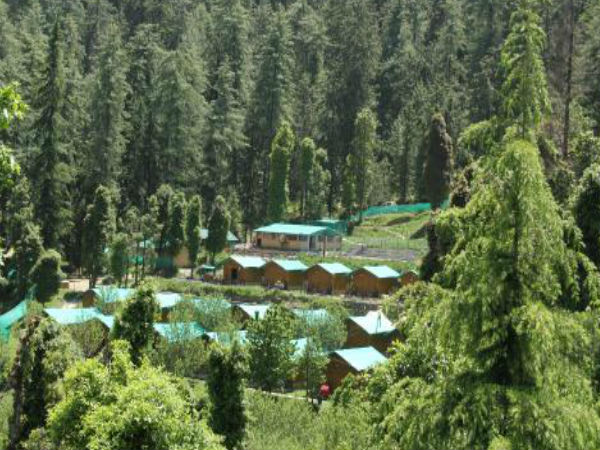 मशोबरा के त्यौहार 