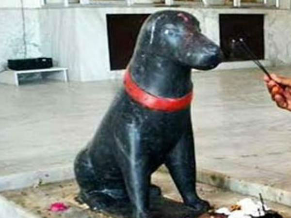 मंदिर शिवजी का और कुत्ते की पूजा क्यों?