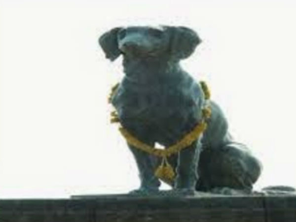 गलती का एहसास