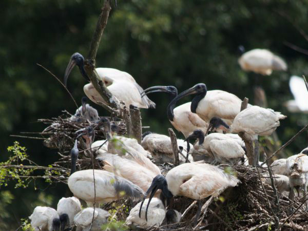 क्‍या साथ लेकर जाएं