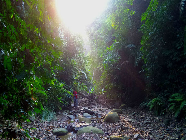 यहां पर एक प्रजाति को मिली है दो देशों की नागरिकता