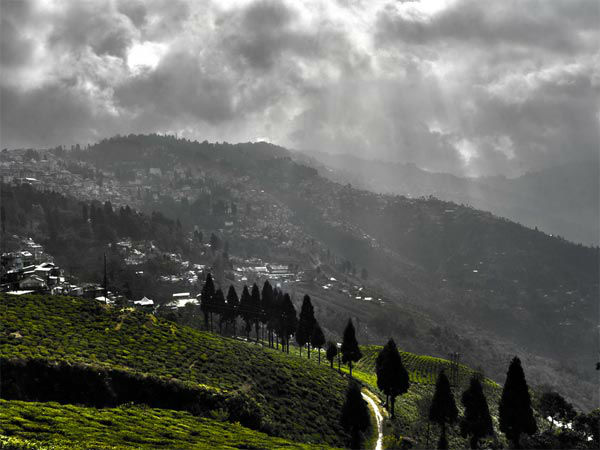 सिलिगुड़ी से दार्जीलिंग