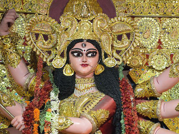 एकदलीय सदाबहार